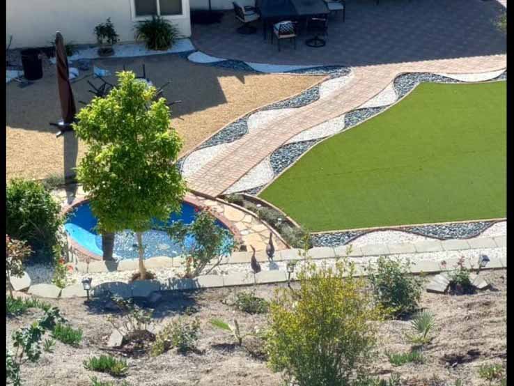 Quetzalito Tree Service